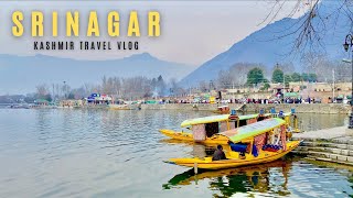 Srinagar Kashmir  Srinagar Tourist Places  Dal Lake  Houseboat  Srinagar Tour  Kashmir Tour [upl. by Aehc]