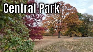 🇺🇸 Autumn Walk in Central Park 4K Virtual Walking Tour [upl. by Wehttam984]