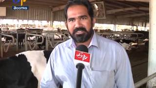 Modern Dairy in Nakirekal  జైకిసాన్  TS 23rd January 2015 [upl. by Elladine]