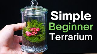 How To Make a Terrarium  An Easy Beginner Guide [upl. by Moreta]