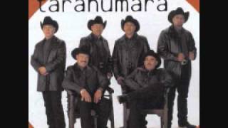 Conjunto Tarahumara Gaviota Traidora [upl. by Stead335]