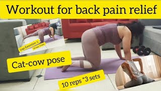 I did these Best Workout for back pain relief [upl. by Rydder]