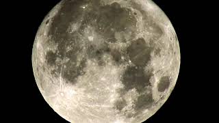 Cantos de Luna Madre Luna  Moon Songs Mother Moon [upl. by Oirom]