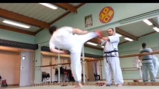 Hapkido JJK  Grandmaster LEE Chang Soo In France 2014 [upl. by Anairol164]