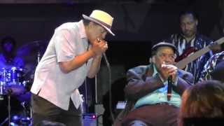 2013 Chicago Blues Festival  Finale  June 9 2013 [upl. by Schnur]