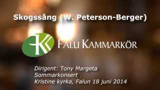 Falu kammarkör  Skogssång W PetersonBerger [upl. by Enilaf]