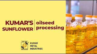 Sunflower Oil Processing From Harvest to HighQuality Oil [upl. by Boeke992]