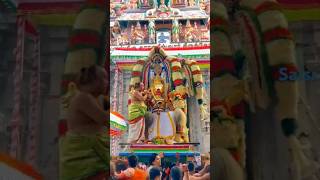 devotional om ytshorts shorts namahshivaya 🙏🙏 [upl. by Urbano]