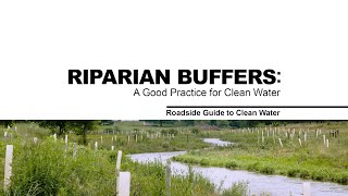 Riparian Buffers A Good Practice for Clean Water [upl. by Steen549]