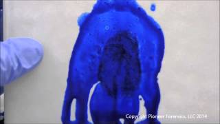 Coomassie Blue Bloody Fingerprint Development [upl. by Deer]