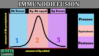 Immunodiffusion  Singe Immunodiffusion  Double Immunodiffusion  Types Of Immunodiffusion [upl. by Jilli]