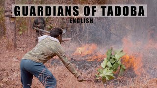 Guardians of Tadoba  English [upl. by Helbonnas]