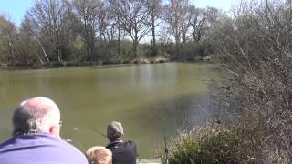 FIVE OAKS FISHERY MILLFIELDS FARM SLINFOLD WEST SUSSEX [upl. by Euqinue504]