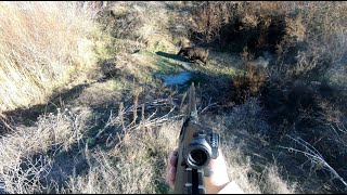 YABAN DOMUZU AVIWİLDBOAR HUNTİNG wildboar hunting turkeyhunting domuzavi [upl. by Latif]