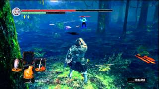 Dark Souls PvP Hunters or the Hunted pt 1 [upl. by Regazzi]