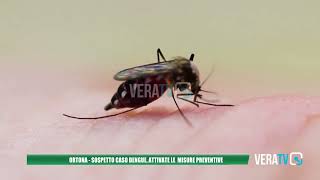 Ortona  Sospetto caso di dengue attivate le misure preventive [upl. by Wertz33]