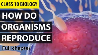 How Do Organisms Reproduce Class 10 Full Chapter Animation  Class 10 Science Chapter 8  NCERT [upl. by Kumar498]