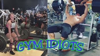 Gym Idiots  Brad Castleberrys Cheat Bench Press amp Dana Linn Baileys Fans Deadlifts [upl. by Nira567]