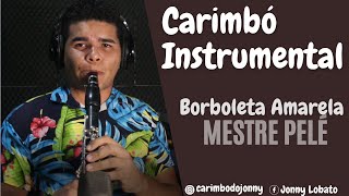 Borboleta Amarela  Mestre Pelé  Instrumental Carimbó do Jonny [upl. by Relyks]