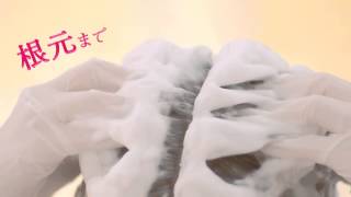 Liese Prettia Foam Bubble Hair Dye Promotional Video [upl. by Yenial]