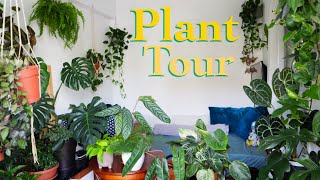 House plant tour 2023  All my plants in my small apartment [upl. by Aierdna725]