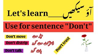 Daily Sentence Use For quotDontquot The Power Of Dont English Grammar Rules [upl. by Magavern]