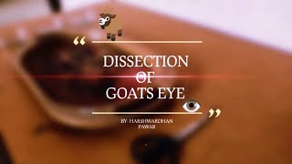 DISSECTION OF GOATS EYE  PARTS OF GOATS EYE  PERFORMED BY HARSHWARDHAN SHASHIKANT PAWAR [upl. by Okramed]