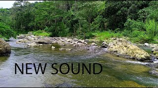 Stereo Sound Of Tranquility and Natural Beauty Calming River Flow Through Boulders [upl. by Bixler458]