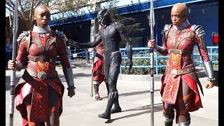 quotBlack Pantherquot TChalla amp Dora Milaje warriors arrive at Disneyland Resort [upl. by Silecara]