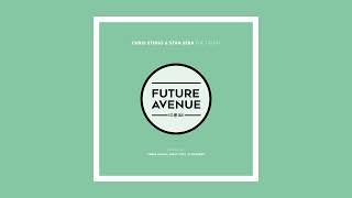 Chris Sterio Stan Seba  The Truth James Halon Remix Future Avenue [upl. by Kerril143]