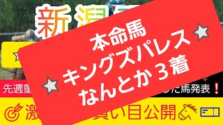 【新潟記念2024】現在2番人気のアノ馬から勝負します‼️競馬予想❗GET評価を絡めた激アツ馬券を公開🐴🎫‼️ [upl. by Hausmann]