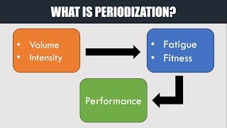 What is Periodization  How to Plan and Manage Training [upl. by Nedrob]