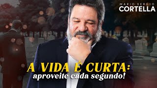 Mario Sergio Cortella  O Tempo e a Vida Como aproveitar ao máximo cada momento [upl. by Marko]