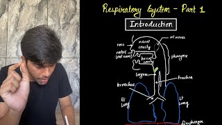 Respiratory System 01  Introduction to Respiratory System  CEE and NEB Boards  Class 12  NEPALI [upl. by Daryl]