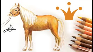 Haflinger Pferd zeichnen lernen mit Buntstiften 🐎 [upl. by Geraud]