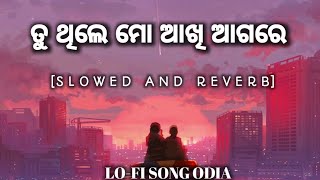 Tu Thile Mo Akhi Agare Palanka Padena 💞 Slowed and Reverb 🎧  Lofi Song Odia [upl. by Inavoj64]