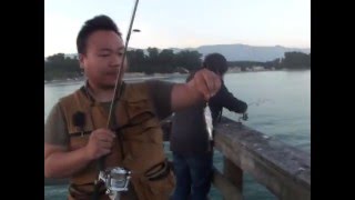 Goleta Pier Fishing quotMixed Bagquot [upl. by Nanoc157]