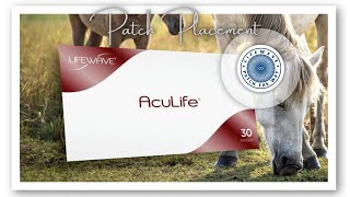 LifeWave Aculife Patches Horses Dont Lie Patch Placements [upl. by Piotr]