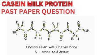 CASEIN MILK PROTEIN [upl. by Steele259]