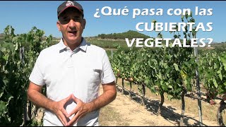 ¿Qué pasa con las CUBIERTAS VEGETALES [upl. by Solraced]