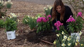 Planting New Varieties of MonardaPhlox in the RAIN 💦  Amaranth Seeds 🌿💚🌸 [upl. by Gnim]