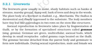 Liverworts  Mosses  Class 11  NCERT Biology [upl. by Loar]