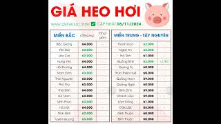 CẬP NHẬT GIÁ HEO 06112024 GIAHEOHOI BIẾN ĐỘNG NHẸ THỊ TRƯỜNG PHÍA NAM ĐIỀU CHỈNH TRÁI CHIỀU [upl. by Urdna]