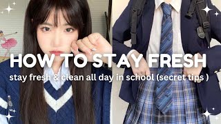 How to stay Fresh in school all day 💌🖇 tips to avoid school air [upl. by Erehpotsirhc]