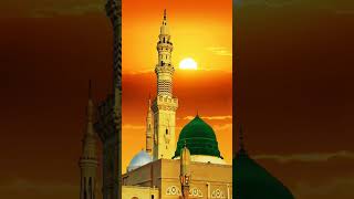 Haider Ali new naat haiderekarrarofficial [upl. by Opalina855]