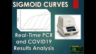 Amplification Plots of RTPCR PRINCIPLES of Real Time PCR Graphical Terminology [upl. by Gerhard250]