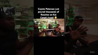 Coyote Peterson just poured thousands of Roaches on Kai Cenat’s head 😳 kaicenatstream on twitch [upl. by Orimar]