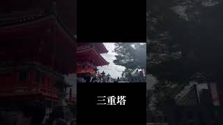 清水寺 京都観光清水寺インスタ映え バズり動画 [upl. by Ahseryt]