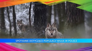 Populacja Wilka w Polsce [upl. by Deehan]