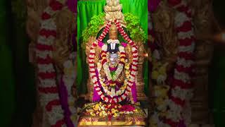 Sri Venkateswara stotram like share subscribe [upl. by Ydurt]